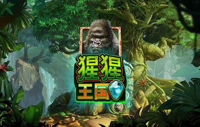ror体育官网登录入口